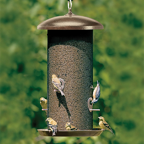 Bird Wildlife Supplies at Menards